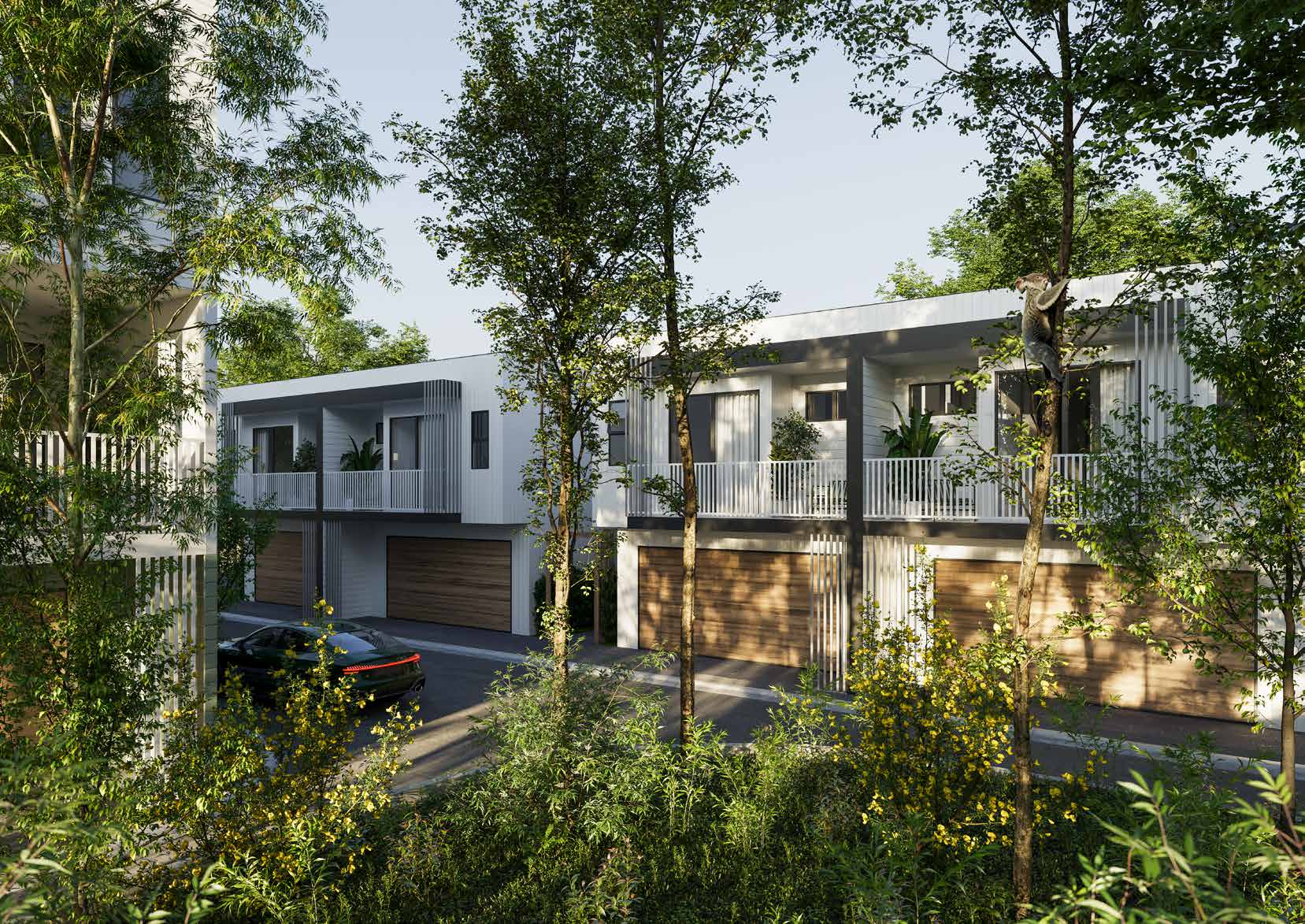 Marrambi Estate streetscape — contemporary townhouses alongside native eucalyptus