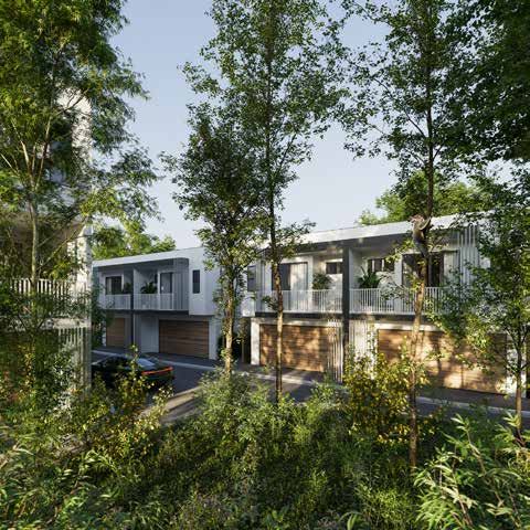Townhouse glimpsed through eucalyptus canopy